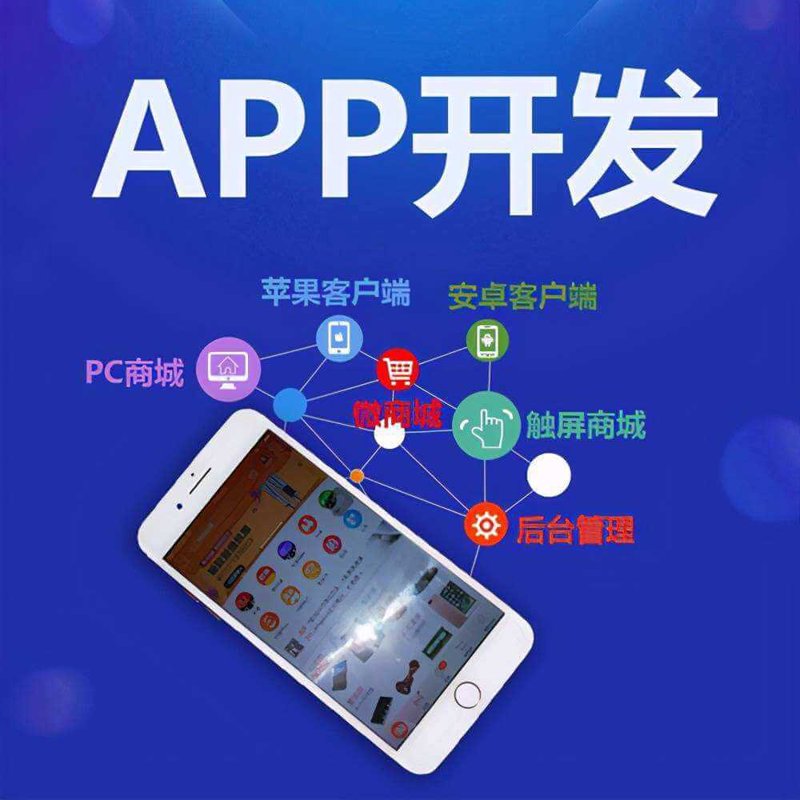 移动端应用开发